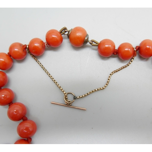 1129 - A vintage coral knotted necklace with 9ct gold safety chain, 40.7g