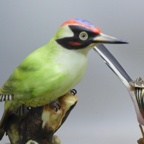 628 - A collection of five Royal Crown Derby porcelain models of birds