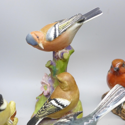 645 - A collection of eight Beswick and Royal Worcester models of birds