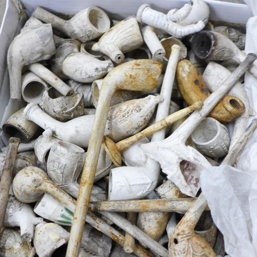 723 - A large collection of old clay pipes