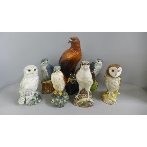 810 - A collection of seven Royal Doulton Whyte & Mackay bird of prey decanters including Golden Eagle, Me... 