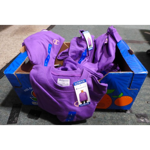 3233 - Quantity of Boy's/ Youth Champion Elite 'Creative Mauve' jumpers - All size: L *This lot is subject ... 