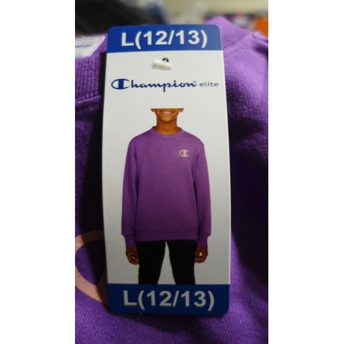 3233 - Quantity of Boy's/ Youth Champion Elite 'Creative Mauve' jumpers - All size: L *This lot is subject ... 