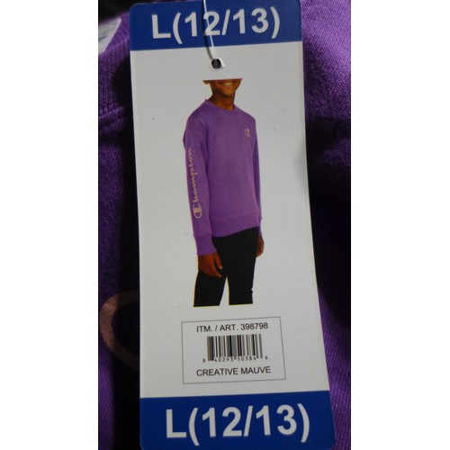 3233 - Quantity of Boy's/ Youth Champion Elite 'Creative Mauve' jumpers - All size: L *This lot is subject ... 