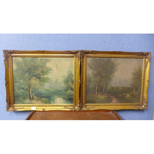 405 - Two rural landscapes, oils on canvas, framed