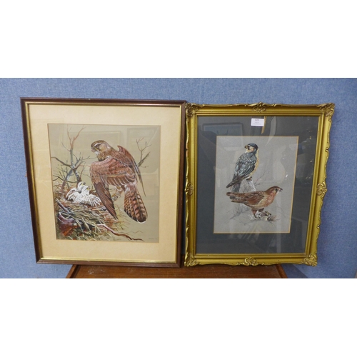 425 - * Jarvis, two studies of birds, watercolour, framed