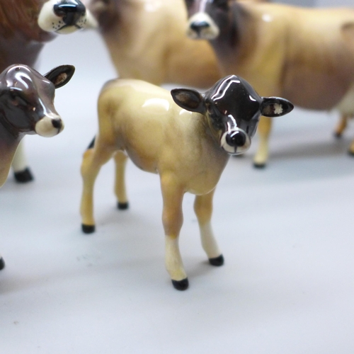 624 - Two Beswick Jersey cow families comprising Ch. Newton Tinkle x3, Ch. Dunsley Coy Boy x2 and two calv... 