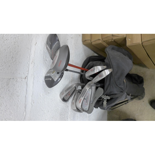 2246 - 2 Sets of golf clubs including Hippo Plus, Howson and Mizuno Faldo Eleven and a quantity of golf bal... 