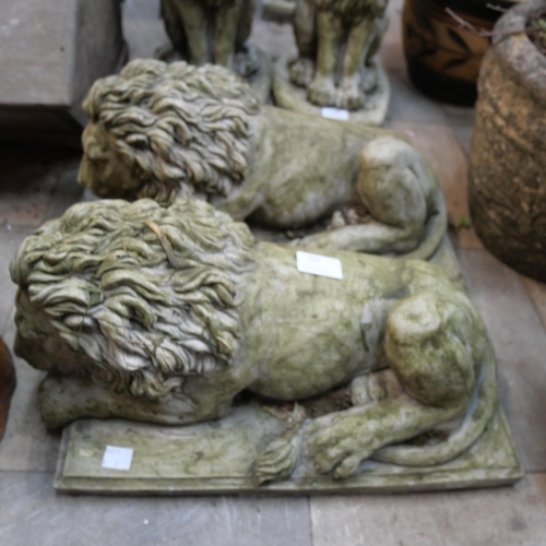 295 - A pair of concrete garden figures of recumbent lions