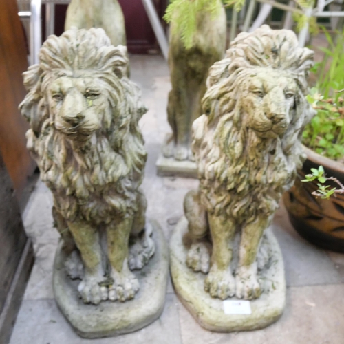 296 - A pair of concrete garden figures of seated concrete lions