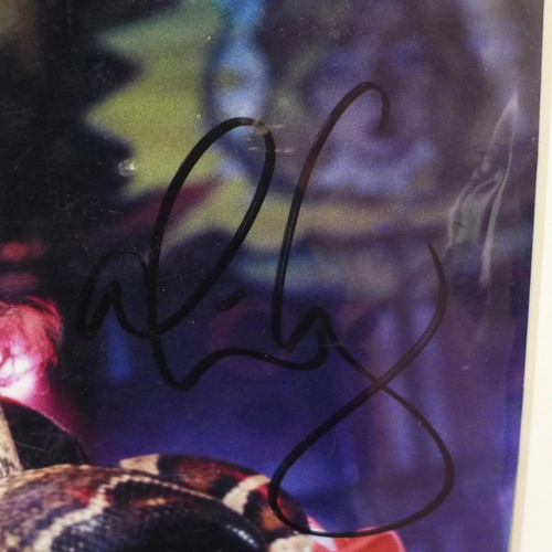 616 - An Alice Cooper signed photograph with A Sign of the Times AFTAL registered C.O.A.