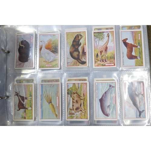 745 - Three albums of cigarette cards and silks including John Players, Ogdens, Kensitas, Gallaher and oth... 