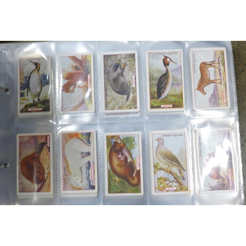 745 - Three albums of cigarette cards and silks including John Players, Ogdens, Kensitas, Gallaher and oth... 