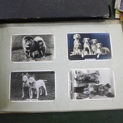 752 - A box of mixed postcards, two albums of cigarette cards and photographs, framed prints of soldiers a... 