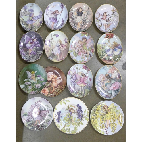 756 - Flower Fairy collectors plates; two Villeroy & Boch, two Wedgwood, one Border and ten Royal Worceste... 