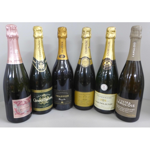 768 - Six bottles of assorted champagnes, Drappier, Oeil de Perdrix, Louis Delaunay, Andre Carpentier, Can... 