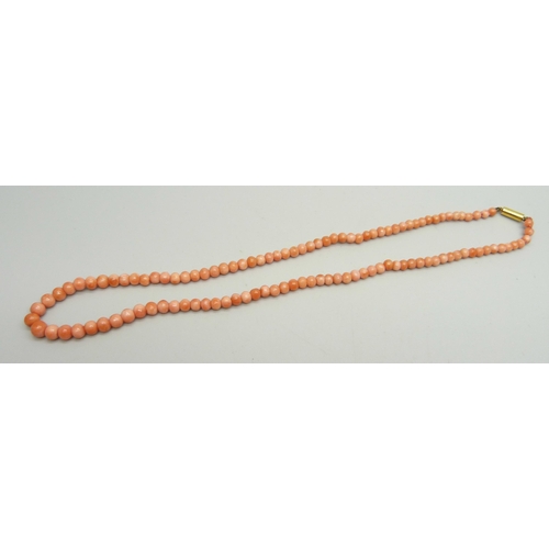 925 - A graduated coral necklace, the clasp marked 9ct, 39.5cm, 10.3g