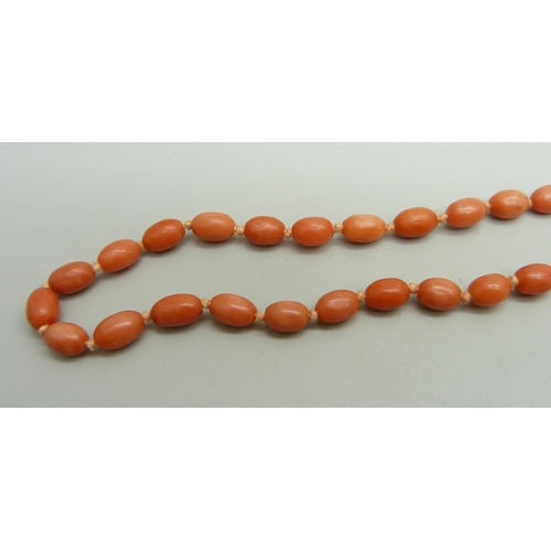 926 - A coral necklace with an unmarked yellow metal clasp, 45.5cm, 14.9g