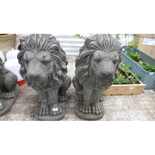 2203 - A pair of stone effect concrete lion ornaments - approximately 23