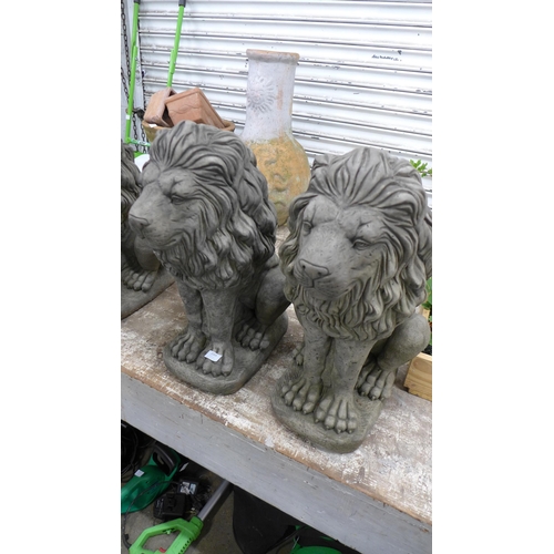 2203 - A pair of stone effect concrete lion ornaments - approximately 23