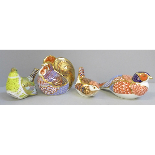 631 - Four Royal Crown Derby paperweights, Greenfinch, Derby Wren, Pheasant and Cockerel, two with gold st... 