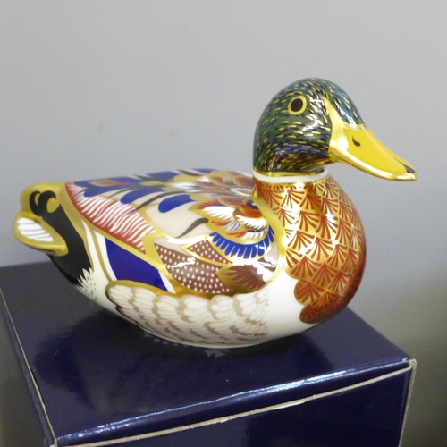 633 - Three Royal Crown Derby paperweights, Swimming Duckling, Mallard and Swan, all boxed