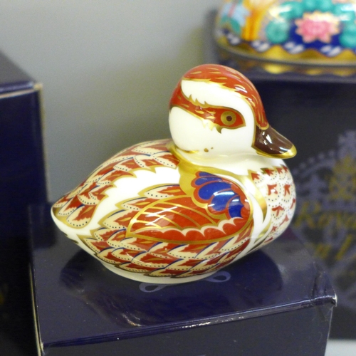 633 - Three Royal Crown Derby paperweights, Swimming Duckling, Mallard and Swan, all boxed