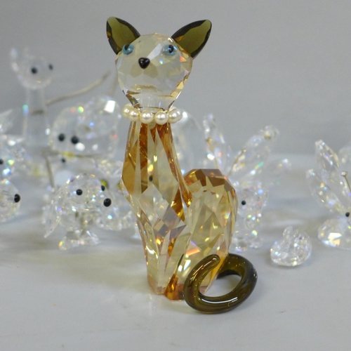 669 - A collection of crystal animals including signed Swarovski pieces (22)