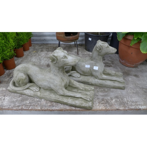 2215 - A pair of stone effect concrete greyhound figures