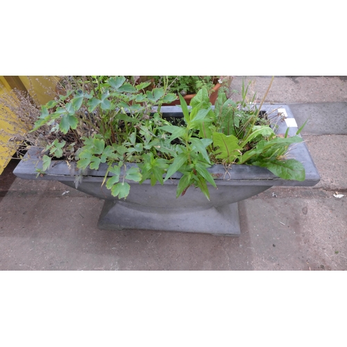 2260 - A large plastic trough style planter