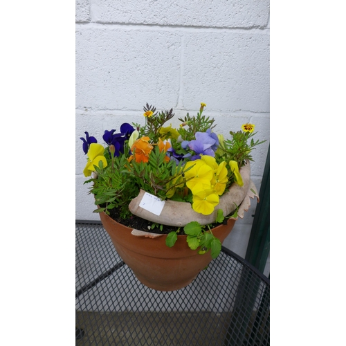 2280 - Two metal watering can planters, containing assorted flowers, plants and three round plastic planter... 