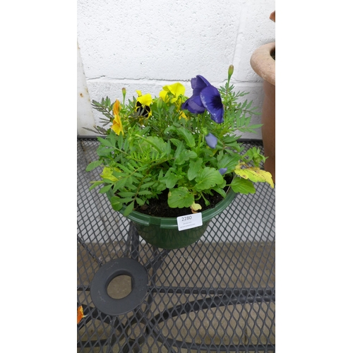 2280 - Two metal watering can planters, containing assorted flowers, plants and three round plastic planter... 