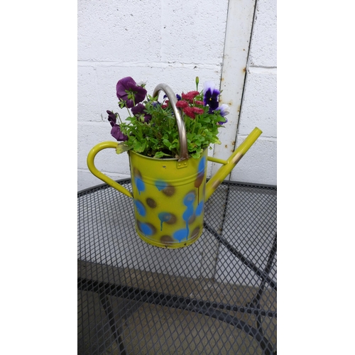 2280 - Two metal watering can planters, containing assorted flowers, plants and three round plastic planter... 