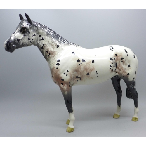 601 - A Beswick Appaloosa horse