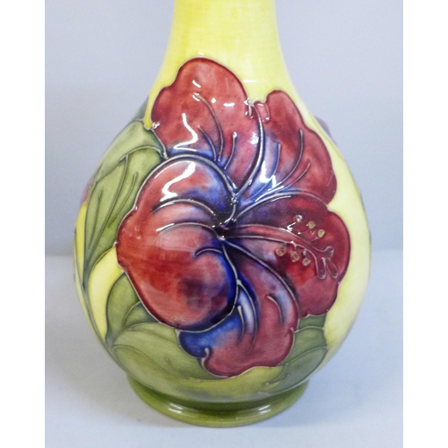 627 - A Moorcroft Hibiscus vase, 21cm