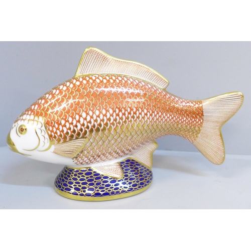 635 - A Royal Crown Derby Golden Carp paperweight with gold stopper
