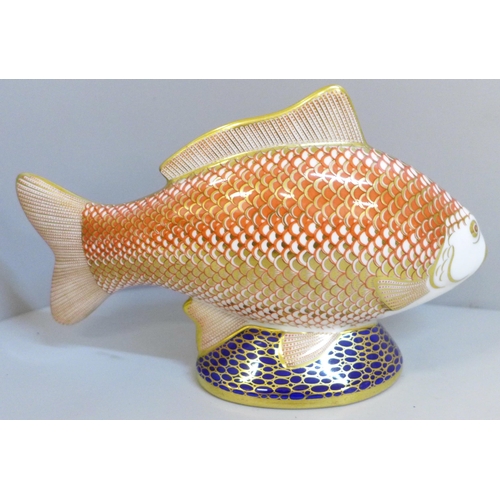 635 - A Royal Crown Derby Golden Carp paperweight with gold stopper