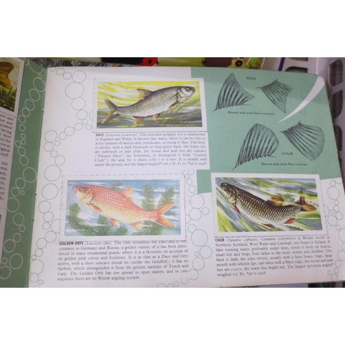 738 - A collection of Brooke Bond picture card albums, pre-historic animals, famous people, butterflies, f... 