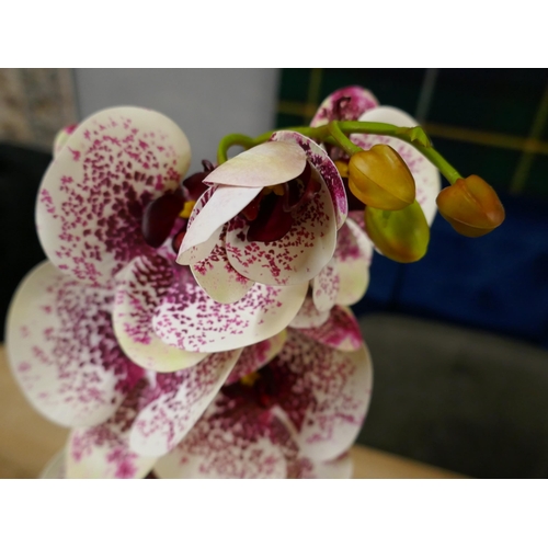 1411 - A single stem artificial Orchid, H 60cms (51237907)   #