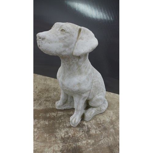 2316 - A stone effect concrete Labrador