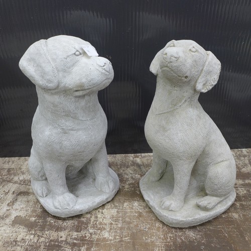 2326 - A pair of stone effect concrete dog ornaments