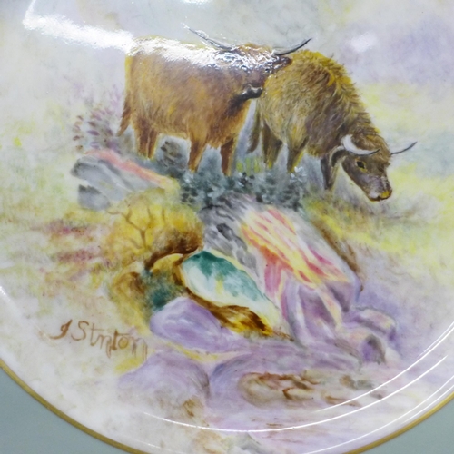 615 - Six Royal Worcester hand painted cabinet plates with Highland Cattle, signed J. Stinton