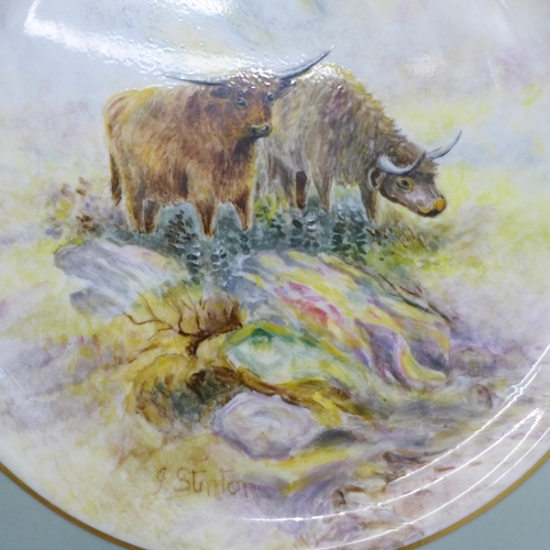 615 - Six Royal Worcester hand painted cabinet plates with Highland Cattle, signed J. Stinton