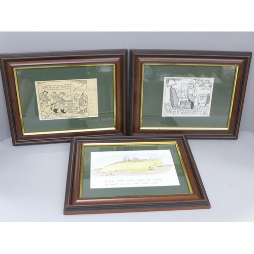 656 - Three original 'Cluff' cartoons, Northern Echo, framed and mounted