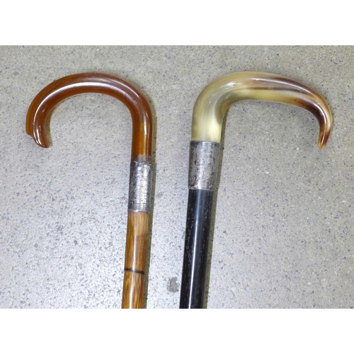 799 - Two walking sticks, one amber handled, one horn handled with silver collars