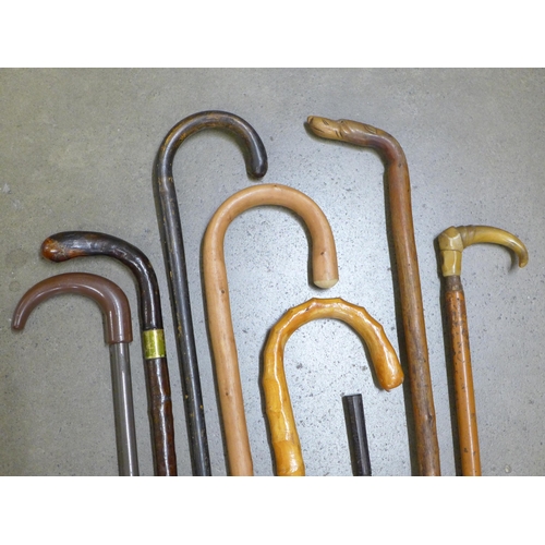 800 - A collection of walking sticks and a swagger stick