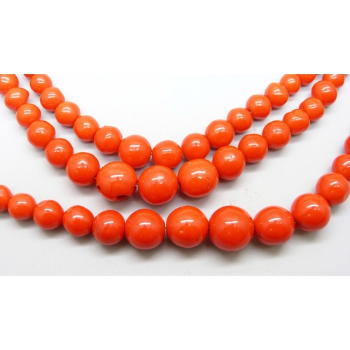 961 - A three strand red coral necklace with white metal clasp, requires re-stringing