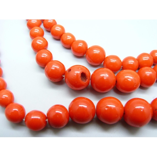 961 - A three strand red coral necklace with white metal clasp, requires re-stringing