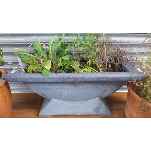 2340 - A large plastic trough style planter and two round plant pots both with plants