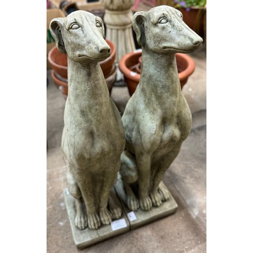 315 - A pair of concrete garden figures of seated greyhounds